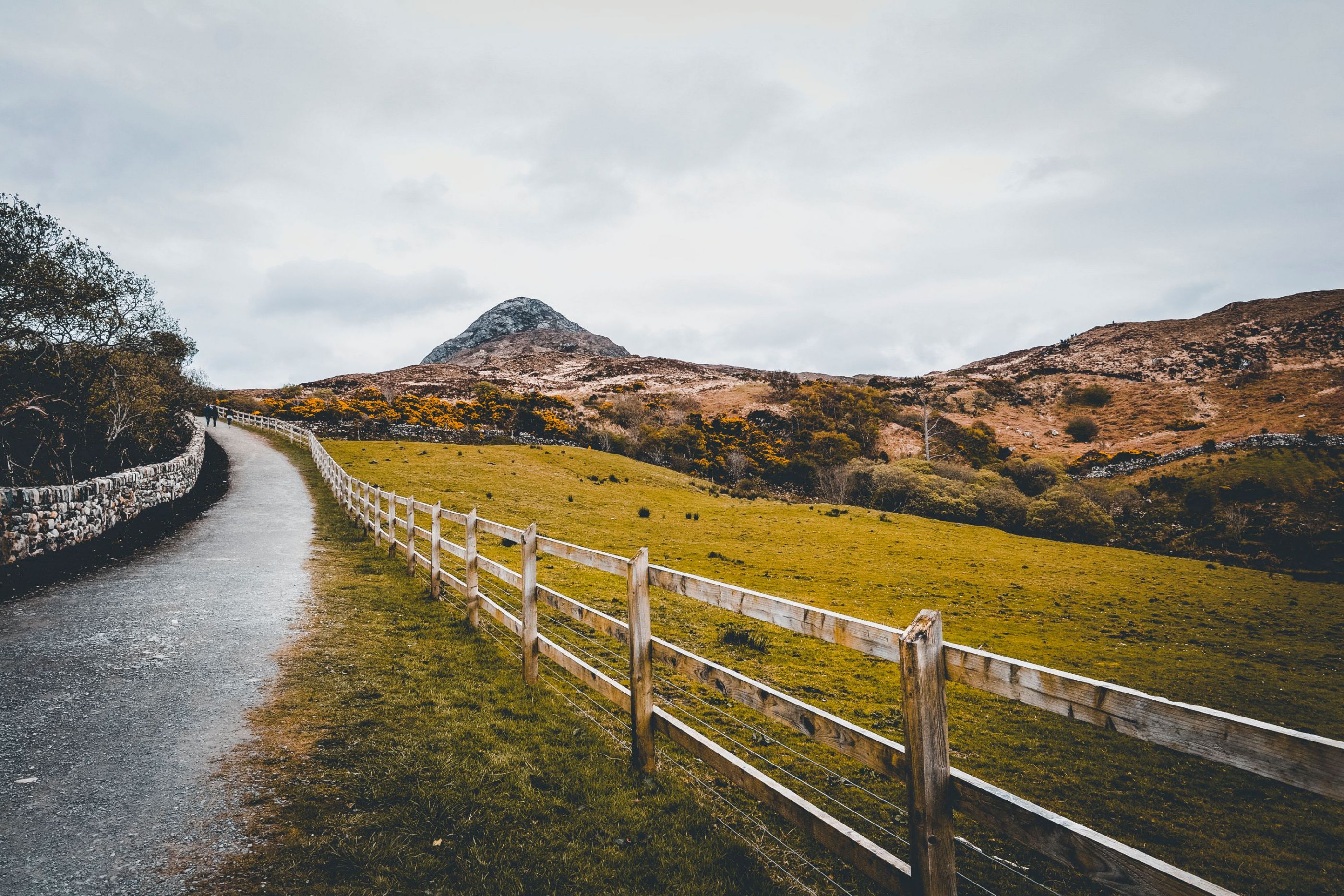 Irish nature